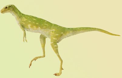 Lesothosaurus Lesothosaurus Dinosaur facts information Lesothosaurus activity