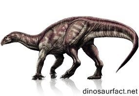 Lessemsaurus Lessemsaurus dinosaur
