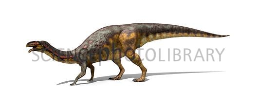 Lessemsaurus Lessemsaurus dinosaur illustration Stock Image C0256992
