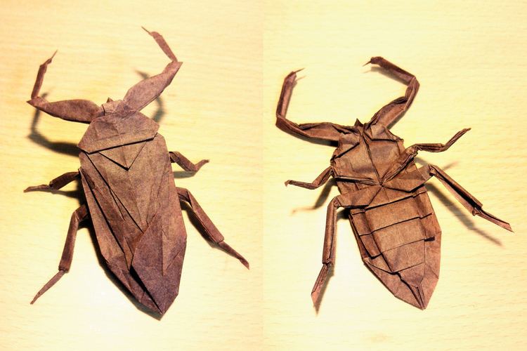 Lethocerus deyrollei Lethocerus deyrollei Designed and folded by me Made from Flickr