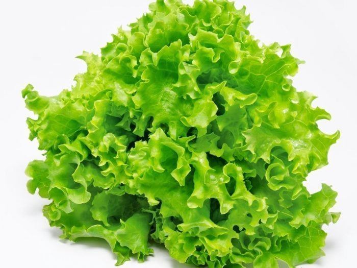 Lettuce 8 Impressive Benefits of Lettuce Organic Facts