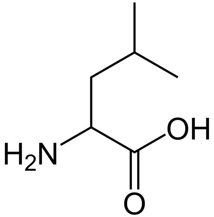 Leucine Leucine as a PreWorkout Supplements in Review