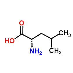 Leucine LLeucine C6H13NO2 ChemSpider