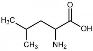Leucine Leucine Makes Wheat Protein as Anabolic as Whey IronMag
