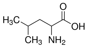 Leucine DLLeucine 99 HPLC SigmaAldrich