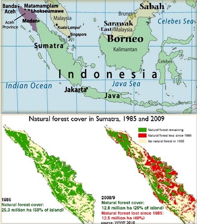 Leuser Ecosystem Say No To Palm Oil Protect The Leuser Ecosystem Indybay