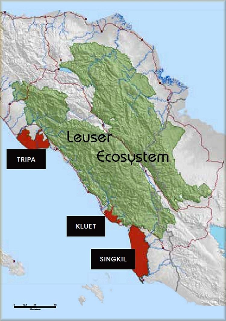 Leuser Ecosystem Say No To Palm Oil Protect The Leuser Ecosystem Indybay