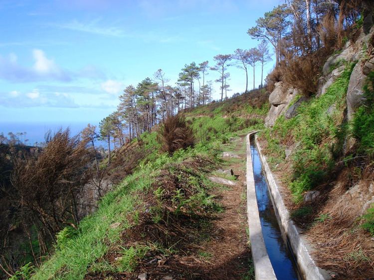 Levada Levada da Ponta do Pargo Madeira Walks