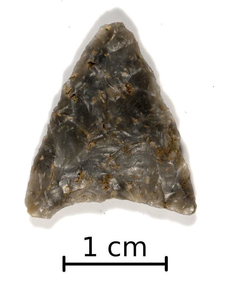 Levanna projectile point