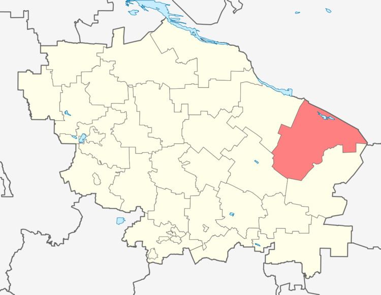 Levokumsky District
