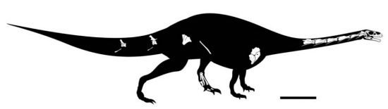 Leyesaurus Leyesaurus and the Origins of Giants Science Smithsonian