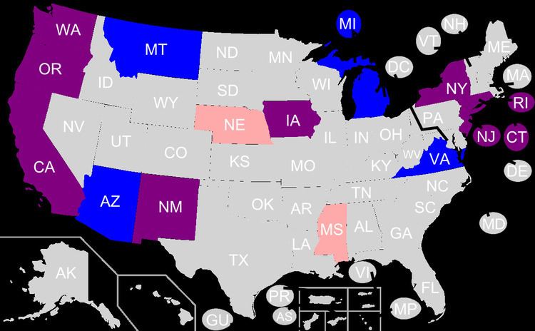 LGBT adoption in the United States