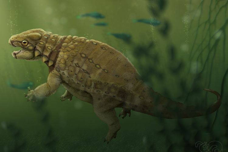 Liaoningosaurus Armored dinosaur was a fisheating turtlemimic Earth Archives