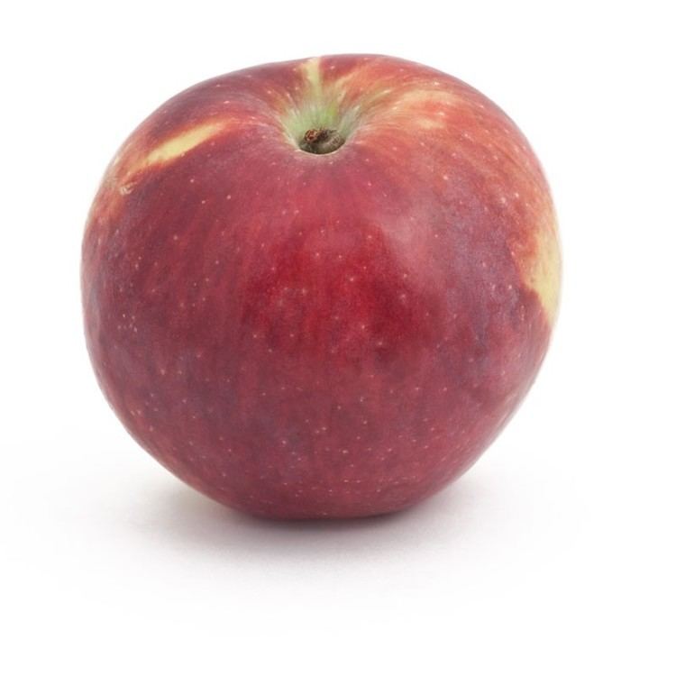 Liberty (apple) Bare Root Liberty Apple Tree Semidwarf GrowOrganiccom