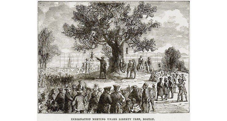 Liberty Tree The Story Behind a Forgotten Symbol of the American Revolution The