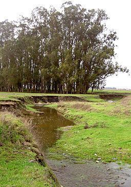 Lichau Creek httpsuploadwikimediaorgwikipediacommonsthu