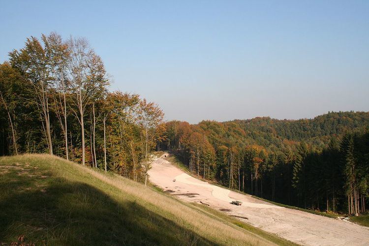 Lichtenfels Forest