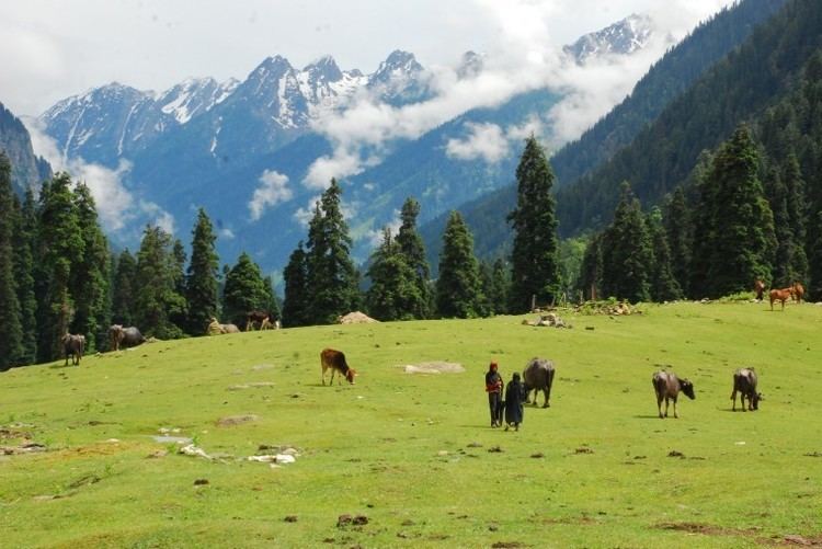 Lidder Valley Camping at Lidder Valley The Experience Jammu and Kashmir