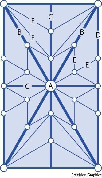 An example of a net vault is that of the vault of Gloucester and a star vault, has letter B indicates the thick blue lines and letter E indicates thin blue lines in the middle, F indicates thin blue lines in the top, D indicates thick blue in the border, C indicates the thick cross section, A as the with dots connecting each lines and a star in the middle.