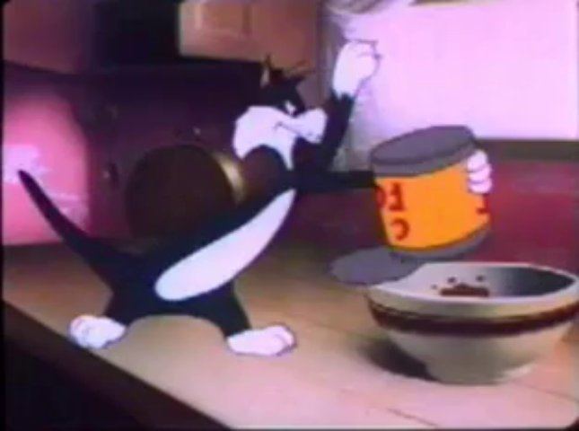 Life with Feathers Video Life with feathers Looney Tunes Wiki FANDOM powered by Wikia