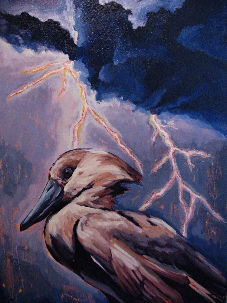 Lightning bird Find out more about Impundulu the Lightning Bird UKZN Press