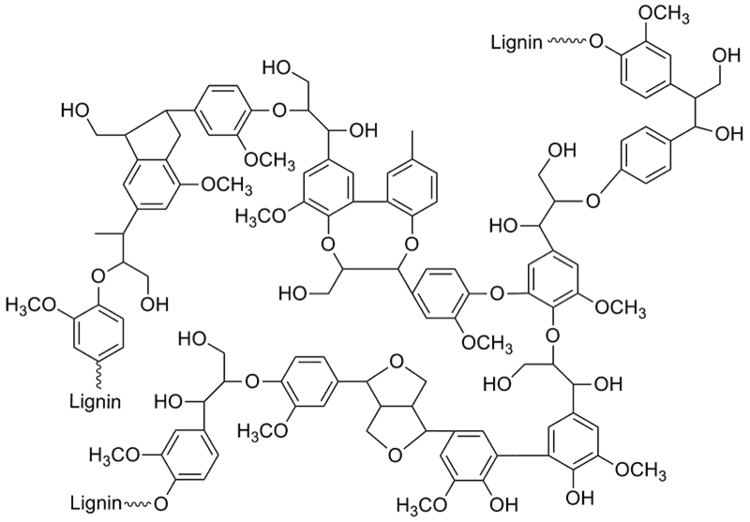 Lignin Research Lignin Newell R Washburn