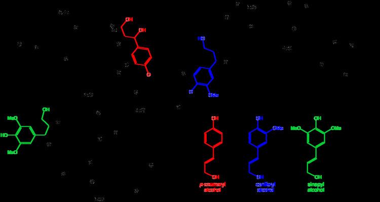 Lignin 624 Lignin EGEE 439