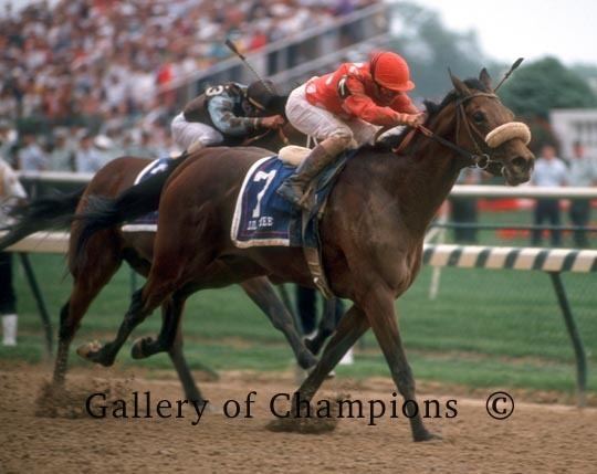 Lil E. Tee 1992 Kentucky Derby Lil E Tee 837 Gallery of Champions