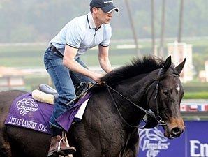 Lillie Langtry (horse) cdnimagesbloodhorsecomibloodhorseimages2015