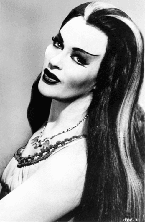 Lily Munster 1000 images about Lily Munster on Pinterest Wallets Actresses