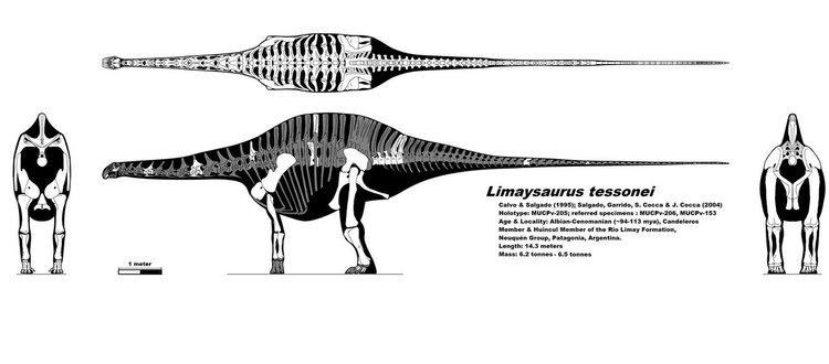 Limaysaurus pre14deviantartnetf379thprei20140622ali