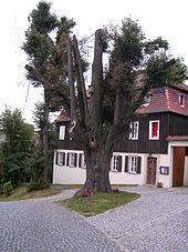 Limbach, Vogtland httpsuploadwikimediaorgwikipediacommonsthu
