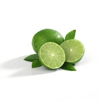Lime (fruit) Lime fruit Lime fruit Exporter Importer Manufacturer Service