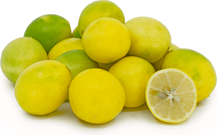 Limequat Limequats Information Recipes and Facts