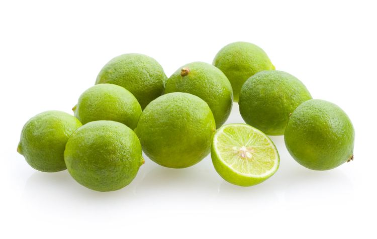 Limequat LIMEQUAT Eustis