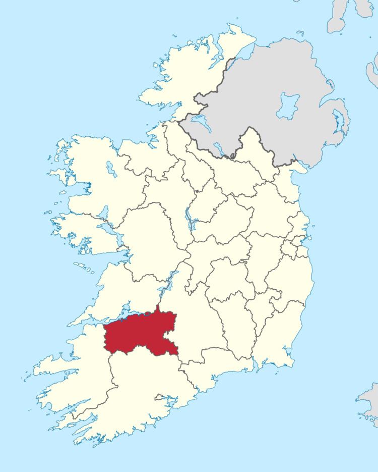 Limerick County Council election, 2004