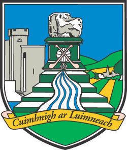 Limerick GAA httpsuploadwikimediaorgwikipediaen331Lim