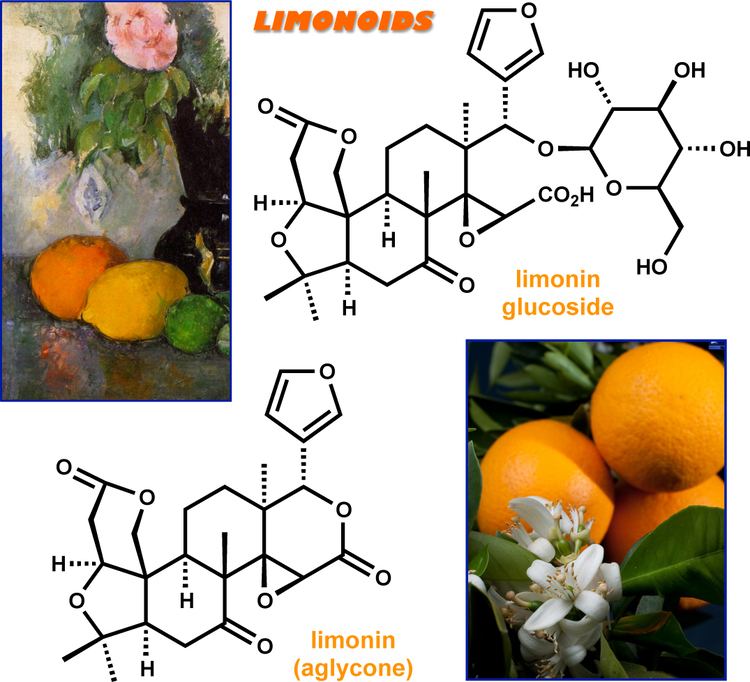 Limonin modern steroid science Citrus Limonin Glucoside Supplementation