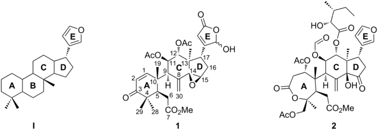 Limonoid Synthesis of the Bseco limonoid core scaffold