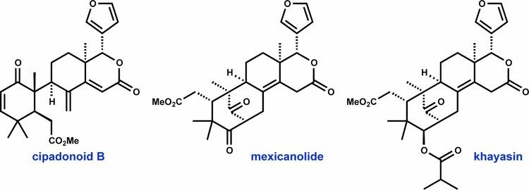 Limonoid modern steroid science Limonoids Total Synthesis of the Mexicanolides