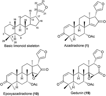 Limonoid Biocatalysis fungi mediated novel and selective 12 or 17