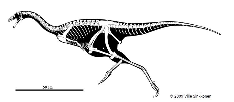Limusaurus orig11deviantartnet1204f20092115a5af5c753