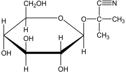 Linamarin Molecular formula of linamarin Openi