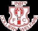 Linby Colliery Welfare F.C. httpsuploadwikimediaorgwikipediaenthumb4