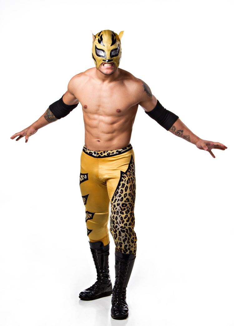 Lince Dorado Georgia Wrestling Now welcomes Stokely Hathaway and Lince