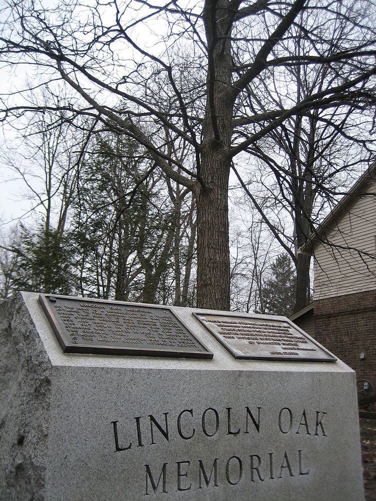 Lincoln Oak