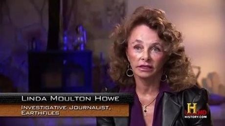 Linda Moulton Howe the story of LINDA MOULTON HOWE UFO DISCLOSURE GROUP