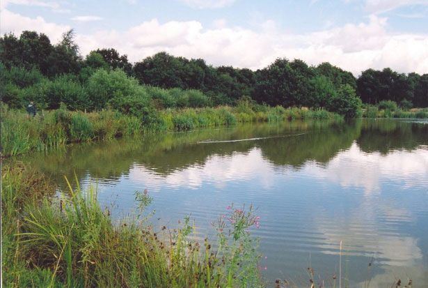 Lindow Common Plea for dogs to be kept on leads at Lindow Common MacclesField