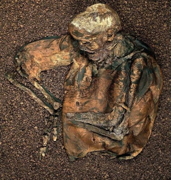 Lindow Man Lindow Moss Website Photo gallery