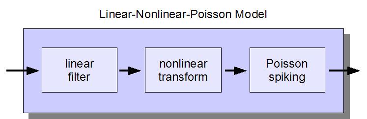 Linear-nonlinear-Poisson cascade model